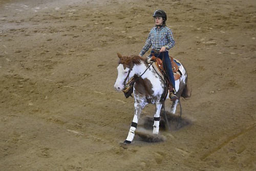 Resultados Fase Reining 2019